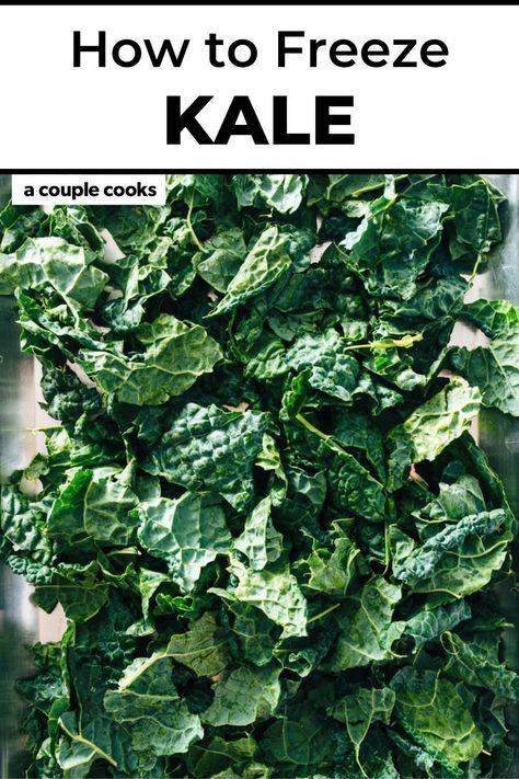 Freezer Kale Recipes, Freezing Kale How To, How To Prepare Kale, Can You Freeze Kale, Kale Preservation, Paleo Baking Recipes, Freezing Kale, Kale Chips Baked, Best Fish Recipes