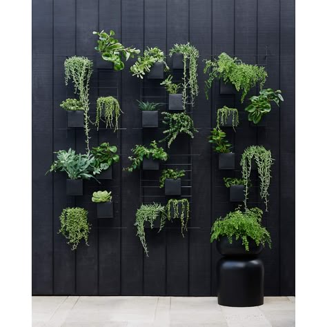 4 Box Wall Mounted Indoor/Outdoor Planter + Reviews | Crate & Barrel Architectural Planters, Wall Planters Outdoor, Deck Remodel, Indoor Plant Wall, Herb Wall, Wall Mounted Planters, Wall Planters, Indoor Outdoor Planter, Succulent Wall