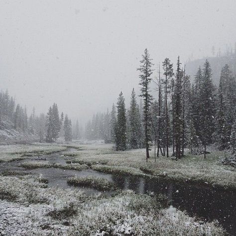 Snow Is Falling, Snow Falling, Snowy Forest, Winter Scenery, Forest River, Winter Aesthetic, Nature Aesthetic, Winter Landscape, Pretty Places