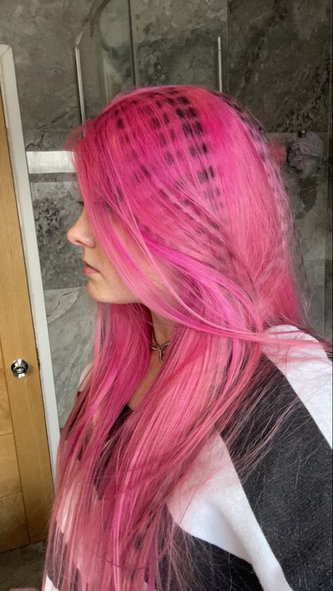 Girl with long bright pink hair that has black stripes Pink Striped Hair, Pink Hair With Black, Racoon Stripes Hair, Dark Pink Hair, Hair Stripes, Pink And Black Hair, Pretty Hair Color, Pink Vibes, Cute Hair