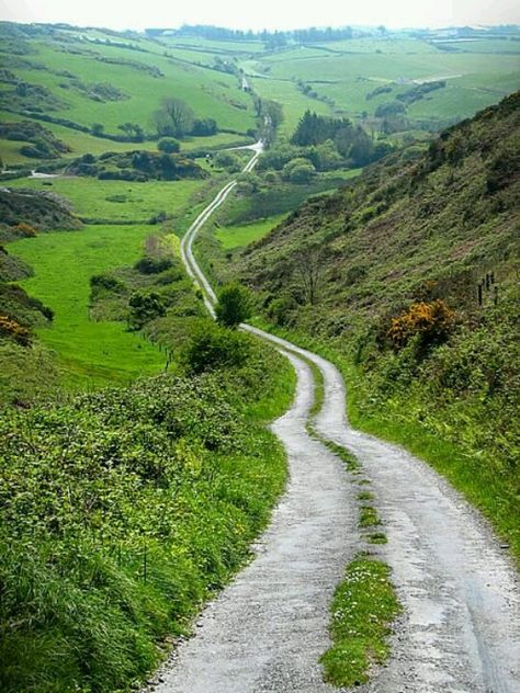 Country lane in rural Ireland. Just like PS I love you! Dark Hedges, Cork Ireland, Green Hills, Ireland Travel, Albania, Dream Vacations, Travel Dreams, Budapest, Wonders Of The World