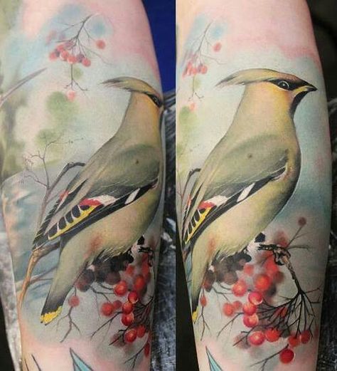 Waxwing Tattoo, Realistic Bird Tattoo, Bird Of Paradise Tattoo, British Tattoo, Bluebird Tattoo, Bohemian Waxwing, Dove Tattoo, Free Tattoo Designs, Cedar Waxwing