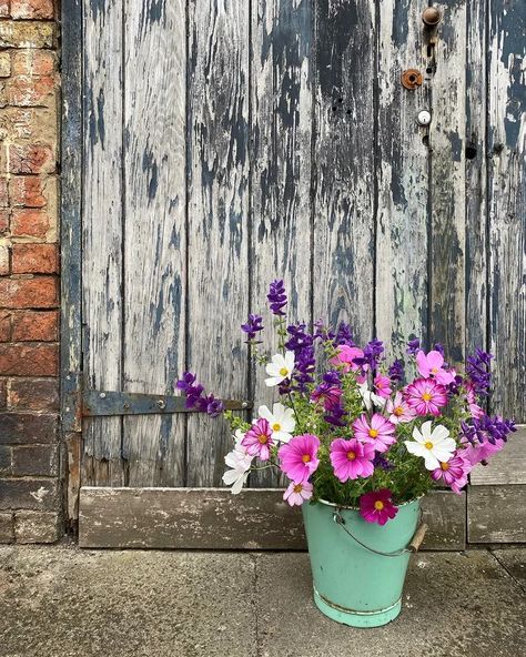 How to grow cosmos: expert tips on when and where to plant | Growing Cosmos, One Mistake, Eco Friendly Garden, Herbaceous Border, Garden On A Hill, English Cottage Garden, Wildlife Gardening, Brown Flowers, Flower Spike