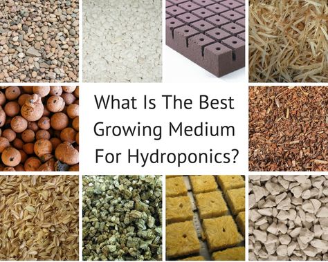 Hydroponic growing media support your plants in a hydroponics system. This guide will teach you all you need to choose a hydroponic growing medium Aquaponics Diy, Hydroponic Farming, Hydroponics Diy, Hydroponic Growing, Plant Nutrients, Smart Garden, Aquaponics System, Garden Guide, Hydroponics System