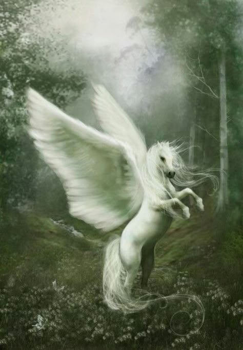 Pegasus of the enchanted forest Pegasus Art, Pegasus Unicorn, Magical Horses, Fantasy Horses, Winged Horse, Mystical Creatures, Magical Creatures, Enchanted Forest, Fantasy World