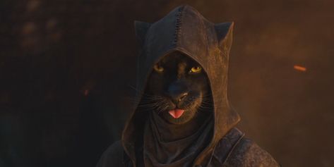 Skyrim Cat, Cat Races, Skyrim Art, Elder Scrolls Art, Elder Scrolls Skyrim, Heroic Fantasy, The Elder Scrolls, Cat People, Khalid