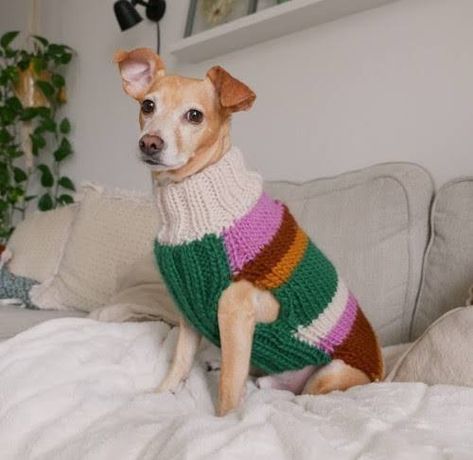 Benson - Dog Sweater | Google Shopping Dog Jumper Knitting Pattern, Knitting Patterns For Dogs, Dog Jacket Patterns, Knitted Dog Sweater Pattern, Dog Sweater Crochet Pattern, Dog Sweater Pattern, Crochet Dog Sweater, Knit Dog Sweater, Jumper Knitting Pattern