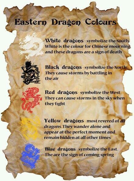 Eastern dragon colors Dragon Meaning, Dragon Quotes, Dragon Energy, Eastern Dragon, Dragon Chino, Cardinal Directions, Dragon Dreaming, Magia Das Ervas, Animal Spirit Guides