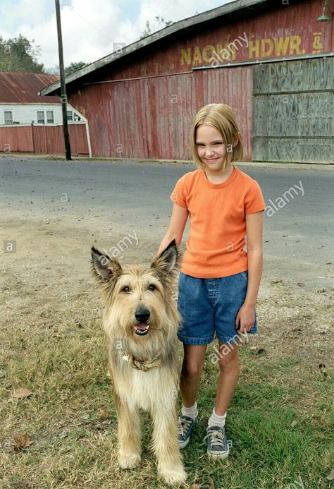 Because of Winn Dixie Anna Sophia Robb, Because Of Winn Dixie, Anna Sophia, Winn Dixie, Antique Store, Younger Sister, A Dog, Year Old, Opal