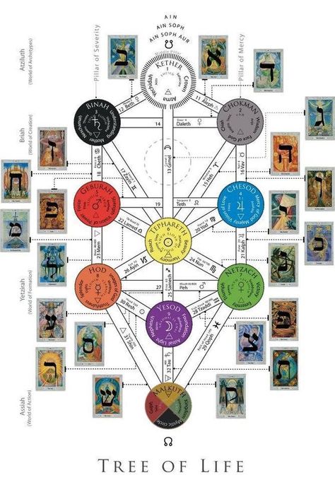 Name Astrology, The Tree Of Life, Major Arcana, Tarot Spreads, Book Of Shadows, Tarot Decks, Sacred Geometry, The Tree, Tarot Cards