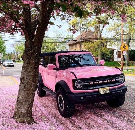 Pink Suv, Tree With Pink Flowers, Bronco Car, Pink Jeep, Classic Ford Broncos, Girly Car Accessories, Pick Up Truck, Dream Cars Jeep, Girly Car