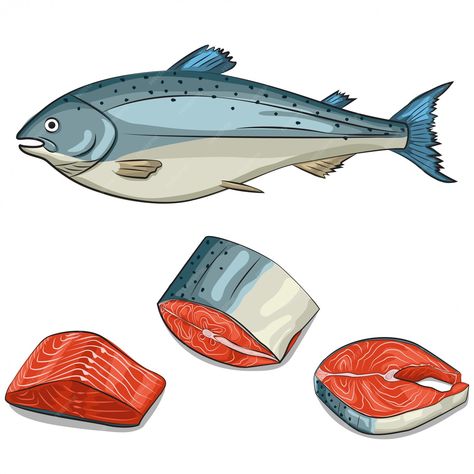 Premium Vector | Salmon fish, steak, fillet and slice set. cartoon hand draw illustration isolated . seafood icons. Fish Food Illustration, Salmon Fish Drawing, Fish Vector Illustration, Fish Food Drawing, Salmon Cartoon, Salmon Illustration, Salmon Drawing, Meat Drawing, Chum Salmon