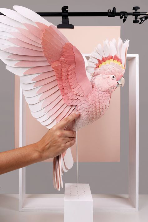 Diana Beltrán Herrera Fantasy Crafts, Cardboard Animals, Bird Sculptures, Paper Art Sculpture, Parrots Art, Paper Cutout Art, Paper Sculptures, Glass Office, Vbs Crafts