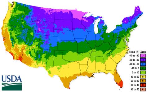 Seed Planting Guide, Vegetable Planting Guide, Plant Hardiness Zone Map, Watermelon Plant, Planting Guide, Zone 10, Zone 7, Plant Zones, Gardening Zones