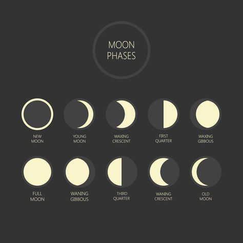 New Moon Meaning, Full Moon Cycle, Moon Stages, New Moon Phase, Full Moon Phases, Moon Meaning, Moon Orbit, Next Full Moon, Moon In Leo