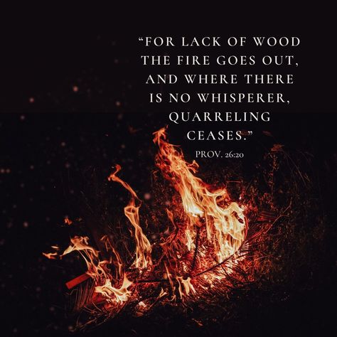 No one wants people talking about them. If we want to treat others as ourselves, we won’t chat about them behind their backs. If you can’t say the words to someone, don’t say it about them. #minutetowinit #proverbs #dailydevotional #honestreflections Burn The Ships, Scary Bridges, Proverbs 26, Year Bible Reading Plan, Journey Of Self Discovery, One Year Bible, Prayer Meeting, Book Of Poetry, Coaching Tips