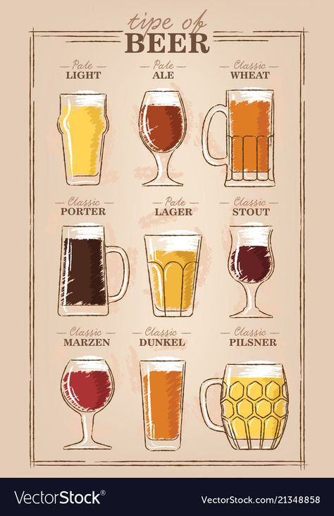 Beer Ingredients Illustration, Beer Glass Illustration, Brewpub Design, Watercolor Drinks, Beer Infographic, Beer Tattoo, Lip Health, Beer Tattoos, Different Types Of Beer