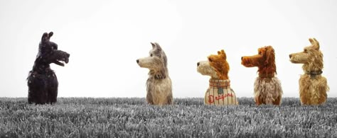 Isle Of The Dogs, Heather Twitter, Wes Anderson Movie, Wes Anderson Aesthetic, Anderson Aesthetic, Detective Aesthetic, Dystopian Fiction, Wes Anderson Movies, Wes Anderson Films