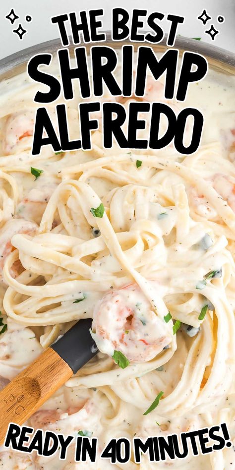 Best Shrimp Alfredo, Fetuchini Alfredo, Fettucini Alfredo Recipe, Shrimp Pasta Recipes Creamy, Creamy Shrimp Alfredo, Fetuccini Alfredo, Easy Shrimp Alfredo, Shrimp Alfredo Recipe, Fettucini Alfredo