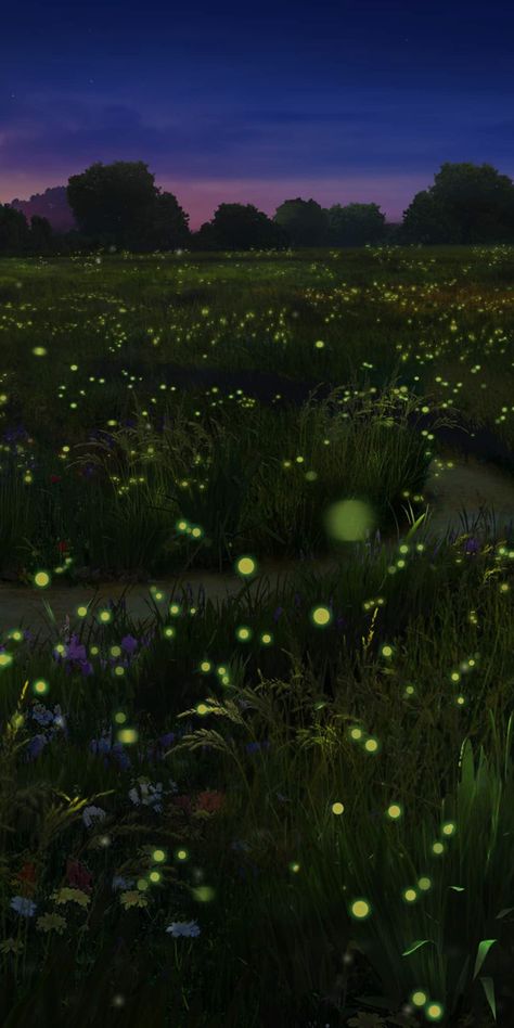 Firefly Field Aesthetic, Lightning Bug Wallpaper, Fireflies In The Woods, Fire Fly Lights, Fire Flies Photography, Firefly Aesthetic Wallpaper, Field Of Fireflies, Catching Fireflies Aesthetic, Firefly Forest Painting