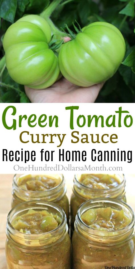 Green Tomato Curry Sauce, Green tomatoes recipes, Things to do with green tomatoes, curry recipes Green Tomato Curry, Canning Green Tomatoes, Green Tomato Recipes, Tomato Recipe, Canning 101, Tomato Curry, Canning Tips, Tomato Relish, Ingredient List