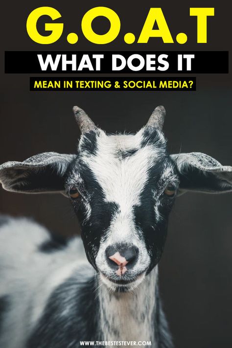 What Does "GOAT" Mean in Texting, Chat, Social Media & Slang? Goat Meaning, Funny Anecdotes, Ll Cool J, Fastest Man, Messaging App, It's Meant To Be, Sports Stars, World Records, Funny Stories