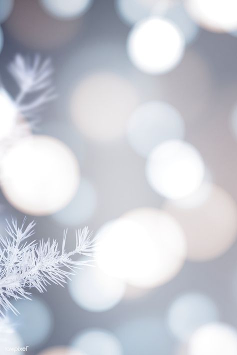 Frosty tree with white bokeh lights background | premium image by rawpixel.com / eyeeyeview Bokeh Christmas, Christmas Dog Decor, Bokeh Wallpaper, Christmas Lights Background, Mobile Phone Wallpaper, Christmas Backgrounds, Winter Background, Bokeh Lights, Bokeh Background