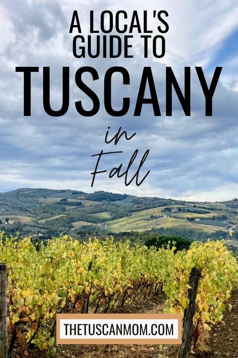 Colorful vineyard in Tuscany on a cloudy day.  You can see rolling hills and countryside in background. Fall With Kids, Things To Do In Tuscany, Harvest Food, Harvest Festivals, Olive Harvest, Grape Harvesting, Italy Holidays, Late Fall, Visit Italy