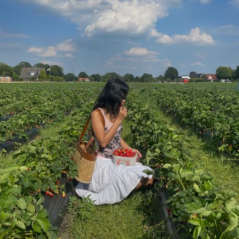 Strawberry Picking Pictures, Strawberry Picking Outfit, Strawberry Cottagecore, Strawberry Summer, Berry Picking, Strawberry Picking, Sufjan Stevens, Summer Vision, Spring Mood