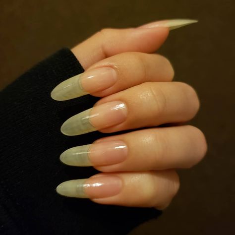 Extreme Long Nails, Real Long Nails, Natural Almond Nails, Long Natural Nails, Red Acrylic Nails, Nail Growth, Strong Nails, Fabulous Nails, Dream Nails