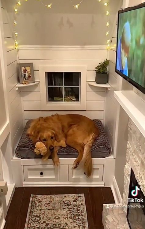 Dogs Apartment Living, Dogs House Indoor, Cute Dog Houses Indoor, Understairs Dog House, Doghouse Indoor, Dog Bed Room, Dog Space Ideas, Dog Houses Indoor, Dog House Under Stairs