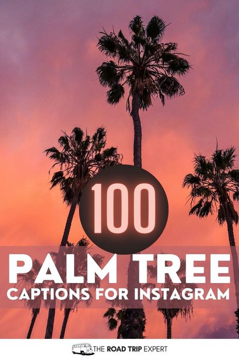 Palm Tree Captions and Quotes for Instagram Tree Captions, Palm Tree Quotes, Instagram Post Captions, Captions For Instagram Posts, Tree Quotes, Aesthetic Captions, Good Instagram Captions, Quotes For Instagram, Cool Captions