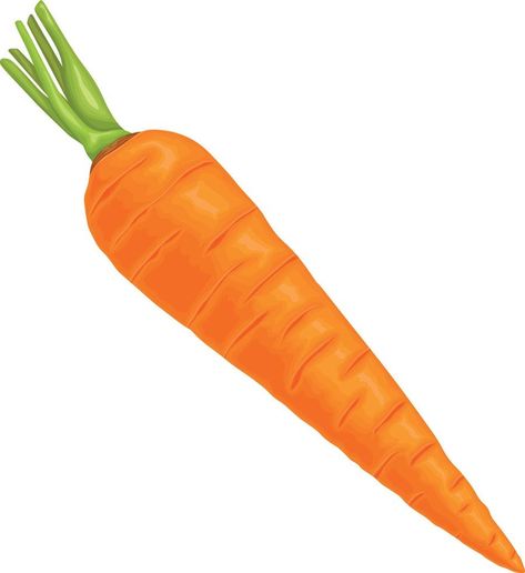 Carrot. Image of a ripe carrot. Vitamin vegetable. Organic food. Orange carrots. Vector illustration isolated on a white background Carrot Image, Carrot Illustration, Orange Carrots, Background Background, Organic Food, Organic Recipes, Vector Logo, Carrots, White Background