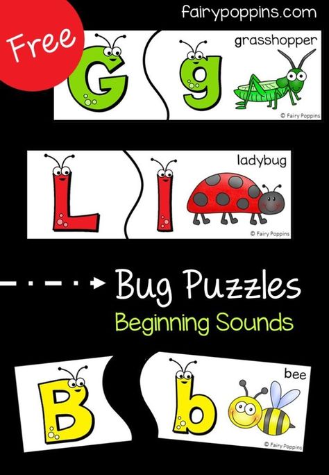 Literacy | Fairy Poppins Themed Activities For Kids, Fairy Poppins, Bug Activities, Insects Preschool, Bugs Preschool, Insect Activities, Preschool Literacy, Creative Curriculum, Themed Activities