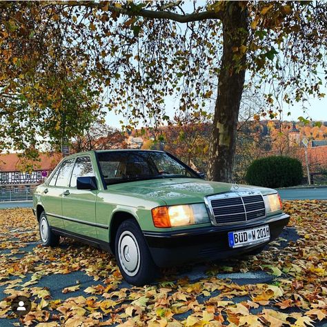 Mint 190 E “pistache”#makegreengreatagain #mercedes #mercedesbenz #benz #w201 #babybenz #190e #oldschool #mb #mbfans… Subcompact Cars, Mercedes Benz Classes, Mercedes 190, Mid Size Car, Mercedes Benz 190, German Beauty, Classic Mercedes, Mercedes Benz Classic, Mercedes Benz Cars