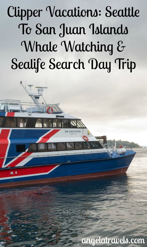 Go on a tour with Clipper Vacations: Seattle To San Juan Islands Whale Watching & Sealife Search Day Trip Water Activities For Kids, San Juan Islands, Water Adventure, Family Outings, Family Outing, Whale Watching, Urban Life, Boat Trips, Water Activities