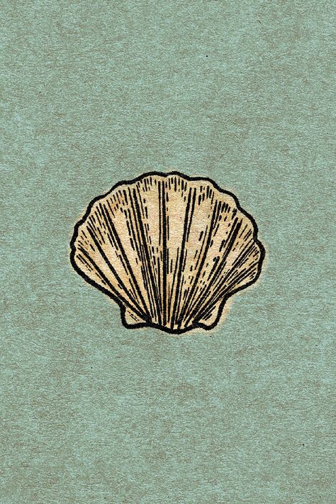 A perfect little shell in a vintage style illustration for the old souls. // shell. blue. cream. coastal. shells. sea. retro. etching. vacation. aquamarine. aqua. boho. conch. seashells. colour. ocean. home decor. breezy. beachy. beach. sand. tropical. vintage. summer. waves. wave. sunny. coral. snorkelling. scuba. diver. nautical. diving. island. marine biology. sage. old. distressed. Vintage Shell Illustration, Sea Shell Illustration, Shells Illustration, Vintage Beach Posters, Shell Illustration, Threads Instagram, Seashell Illustration, Sc Logo, Shell Drawing