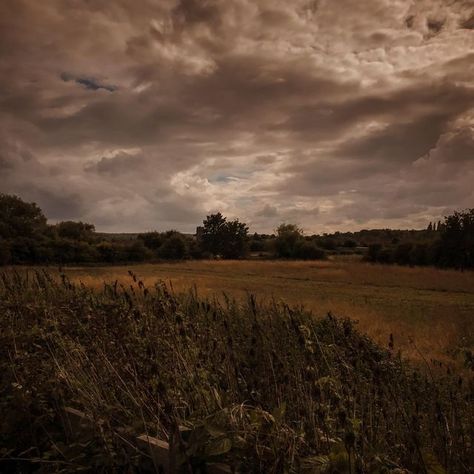 Rainy England Countryside, Dark Academia Countryside, Aph Latvia, Uk Landmarks, Landscape Cottagecore, Lane Aesthetic, English Countryside Aesthetic, Gothic Autumn, Southern Gothic Aesthetic