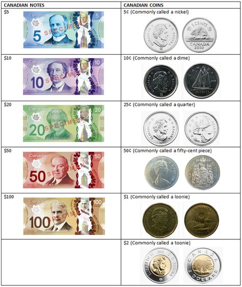 Canadian Currency. Canadian Money Worksheets, Canadian Money Anchor Chart, Canadian Coins Kindergarten, Canadian Currency, All About Canada, Canadian Dollar, Canadian Money, Canada Day, Money