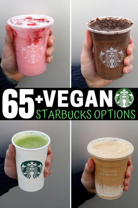 This list has all of the best Starbucks vegan drinks you can order. And with over 65 dairy free Starbucks drinks to choose from, you'll always have a new option to try! Vegan Drinks At Starbucks, Plant Based Starbucks Drinks, Starbucks Vegan Drinks, Vegan Starbucks Drinks Coffee, Starbucks Images, Non Coffee Starbucks Drinks, Dairy Free Starbucks Drinks, Vegan Holiday Drinks, Dairy Free Starbucks