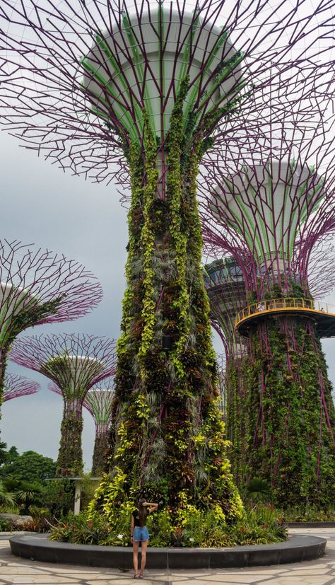 Gardens By The Bay, Urban Architecture, Fantasy City, Asia Travel, Singapore, Garden Art, Lamp Post, Travel Tips, Street Art