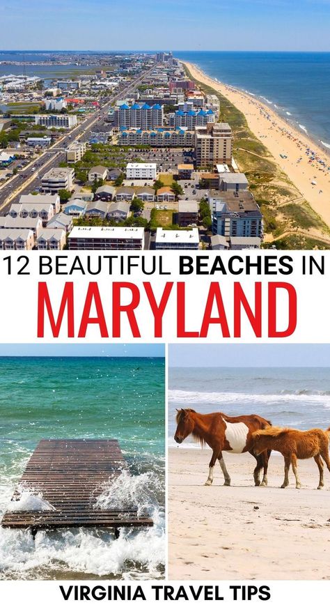 Chesapeake Beach Maryland, Things To Do In Maryland, Maryland Day Trips, Maryland Summer, Ocean City Maryland Beach, Visit Maryland, Westminster Maryland, Maryland Beaches, West Virginia Travel