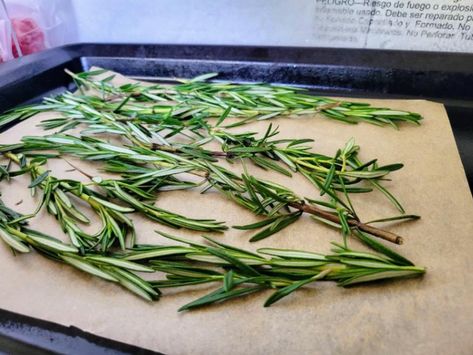 Can You Freeze Rosemary? Freezing Rosemary Fresh Herbs, How To Freeze Fresh Rosemary, How To Freeze Rosemary, Preserving Rosemary, Preserve Rosemary, Freeze Rosemary, Dry Rub For Chicken, Freezing Herbs, Rosemary Bread