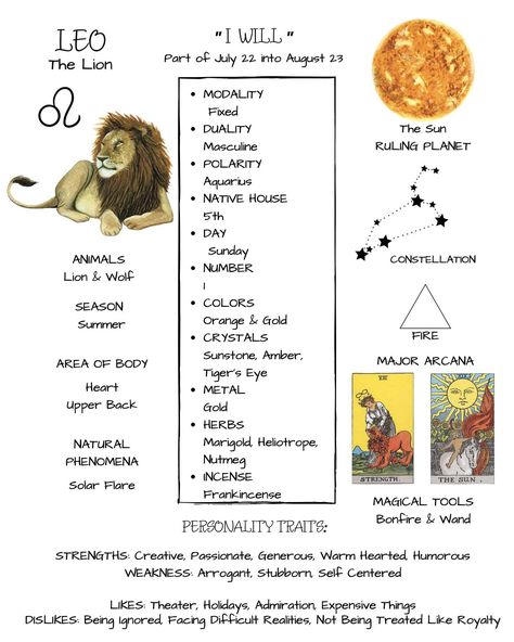 Roarrrrr of the Lion 🦁 hello Leo! ♌️ https://www.etsy.com/shop/TheTravelersJewels #leoseason #leo . …………. #Zodiac #magic #energy #vibes #crystals #bracelets #ttj #tarot #chakras #crystalshop #gems #crystaljewelry #love #healing #minerals #witchesofinstagram #witches #quartz #nature #spiritual #chakra #etsy #astrology Leo Crystals Zodiac Signs, Leo Witch, Leo Crystals, Leo Element, Leo Lady, Zodiac Magic, Lion Zodiac, Leo Energy, Leo Birthstone