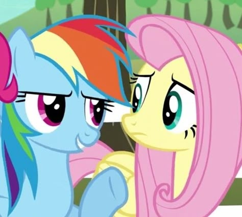 Mlp Flutterdash, Fluttershy And Rainbow Dash, Rainbow Dash And Fluttershy, Fluttershy Rainbow Dash, Lion Man, Me And My Girlfriend, Mlp Ships, Mlp Icons, Literally Us