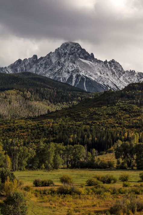 Snow Peaked Mountains over Pine Forest behind field on Colorado Ranch. Colorado Forest, Evergreen Colorado, Colorado Ranch, Forest Mountain, Snow Peak, Landscape Background, Warrior Cat, Pine Forest, Throne Of Glass