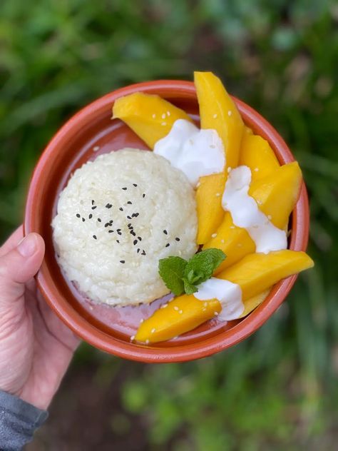 How to make the best Thai mango sticky rice - Luc & June Travel & Food Blog Thai Mango Sticky Rice, Easy Thai Recipes, Valentines Food Dinner, Coconut Milk Rice, Thai Mango, Popular Dessert, Milk Rice, Most Popular Desserts, Mango Sticky Rice