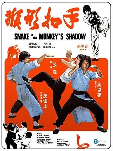 Jackie Chan Movies, Drunken Master, Hong Kong Cinema, Martial Arts Film, Kung Fu Movies, Hong Kong Movie, Kung Fu Martial Arts, Martial Arts Movies, Chinese Movies