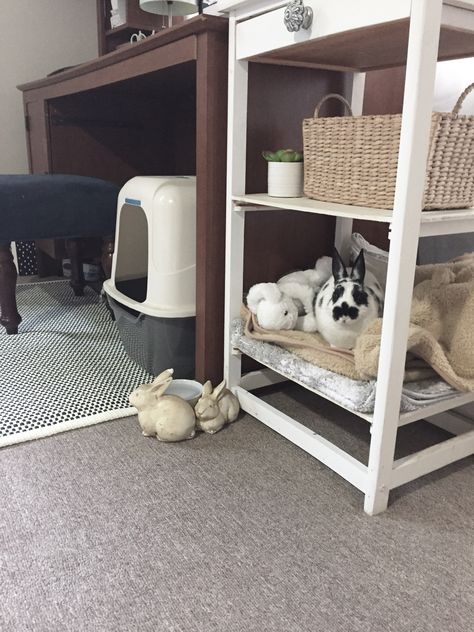 Cage free bunny... bunnies love to have a space all their own especially if it's an enclosed "safe space" mimicking a natural warren... for GiGi a two tiered shelf she enjoys as her bed. Bath mat and baby blanket for cushion/comfort Bunny Free Roam, Free Roam Bunny, Bunny Proofing, Bunny Care Tips, Bunny Space, Bunny Bed, Rabbit Enclosure, Bunny Cage, Pet Rabbit Care