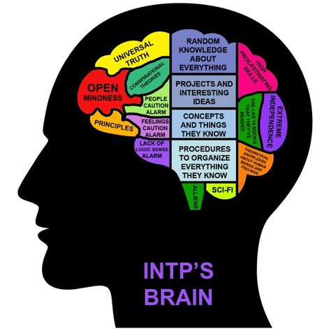 INTP's brain - I think it's pretty safe to say this is my brain.....even though there are multiple spelling errors Istj Personality, Isfj Personality, Istp Personality, Intp Personality Type, Intp Personality, Quotes Arabic, Intj Intp, Myers Briggs Personality Types, Myers–briggs Type Indicator